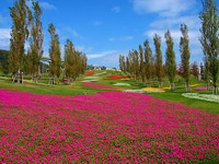 淡路島国営明石海峡公園