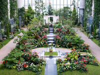 奇跡の星の植物館